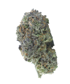 buy death goo online