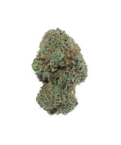 Buy Gelato Online