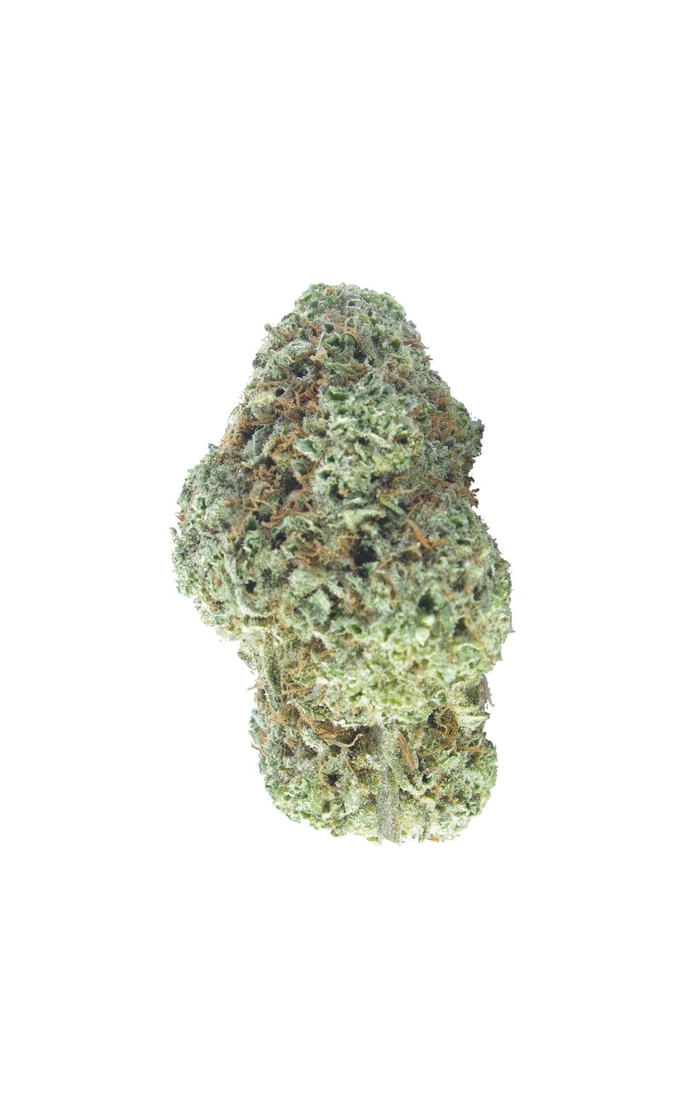 Hawaiian Bud Hawaiian Punch (Oz Special)