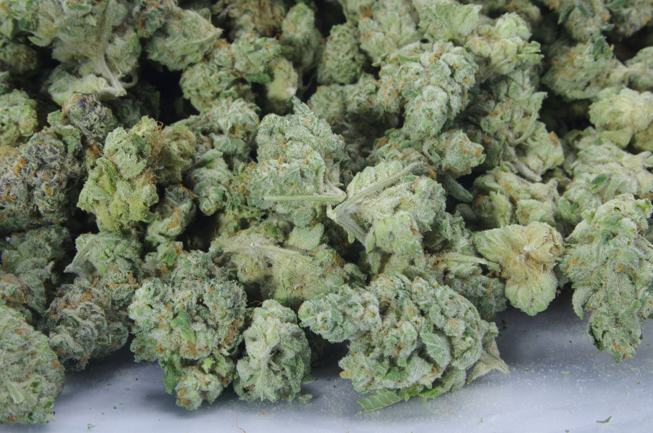 Mids Bag scaled White Russian (Oz Special)