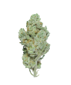Buy Mids Online