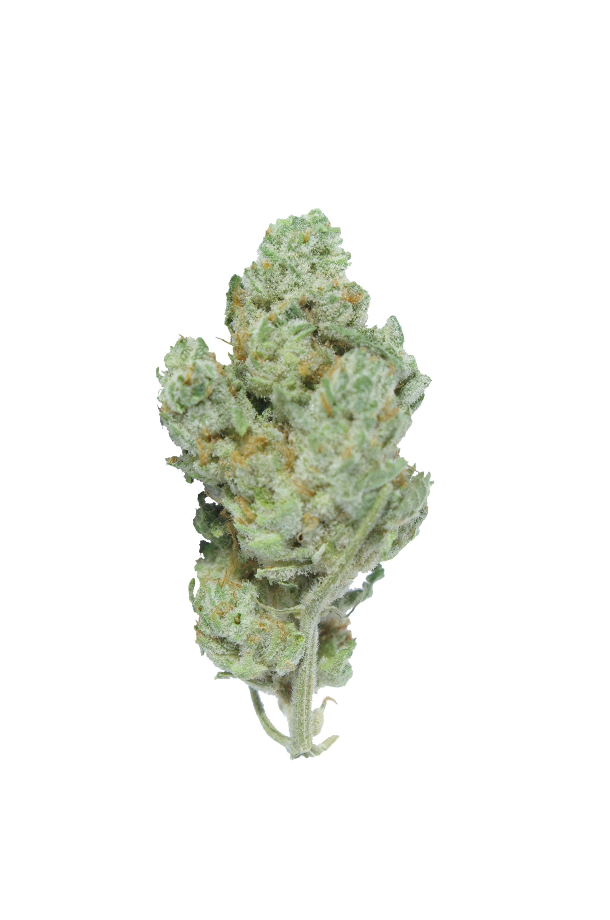 Mids Bud White Russian (Oz Special)