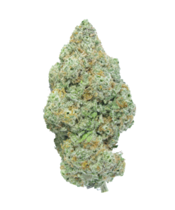 Buy Starwalker online