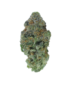 Buy Tropicanna Online