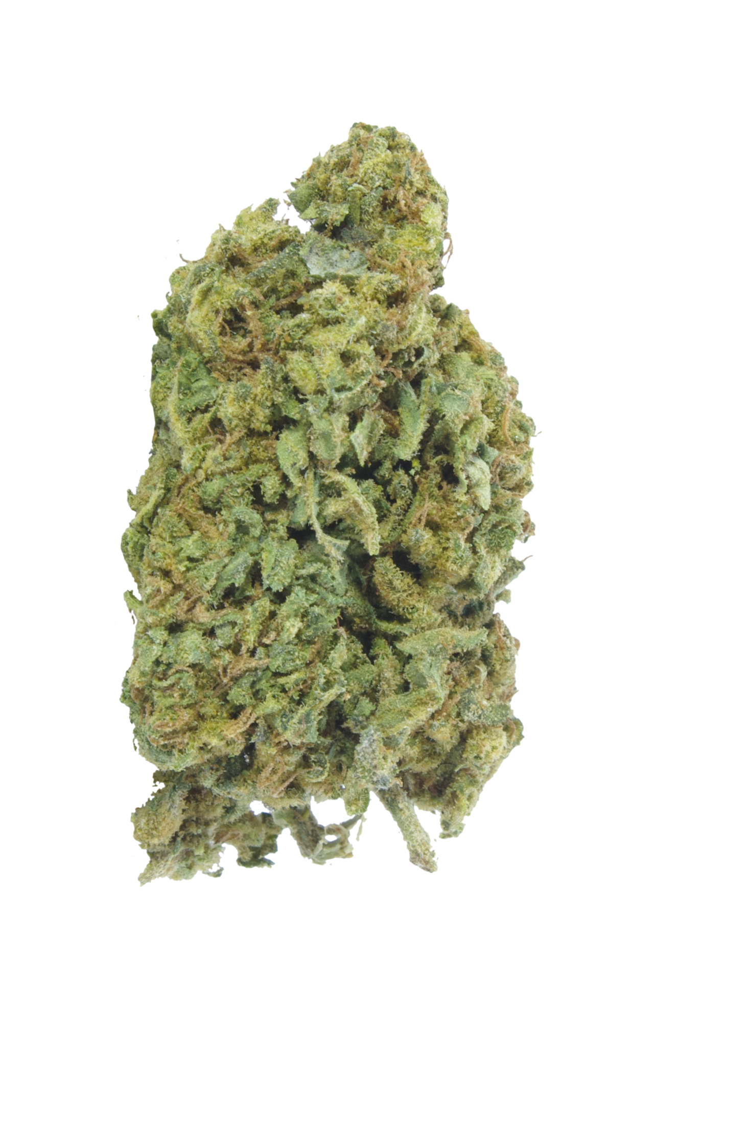 AK Bud AK-47 (Oz special)