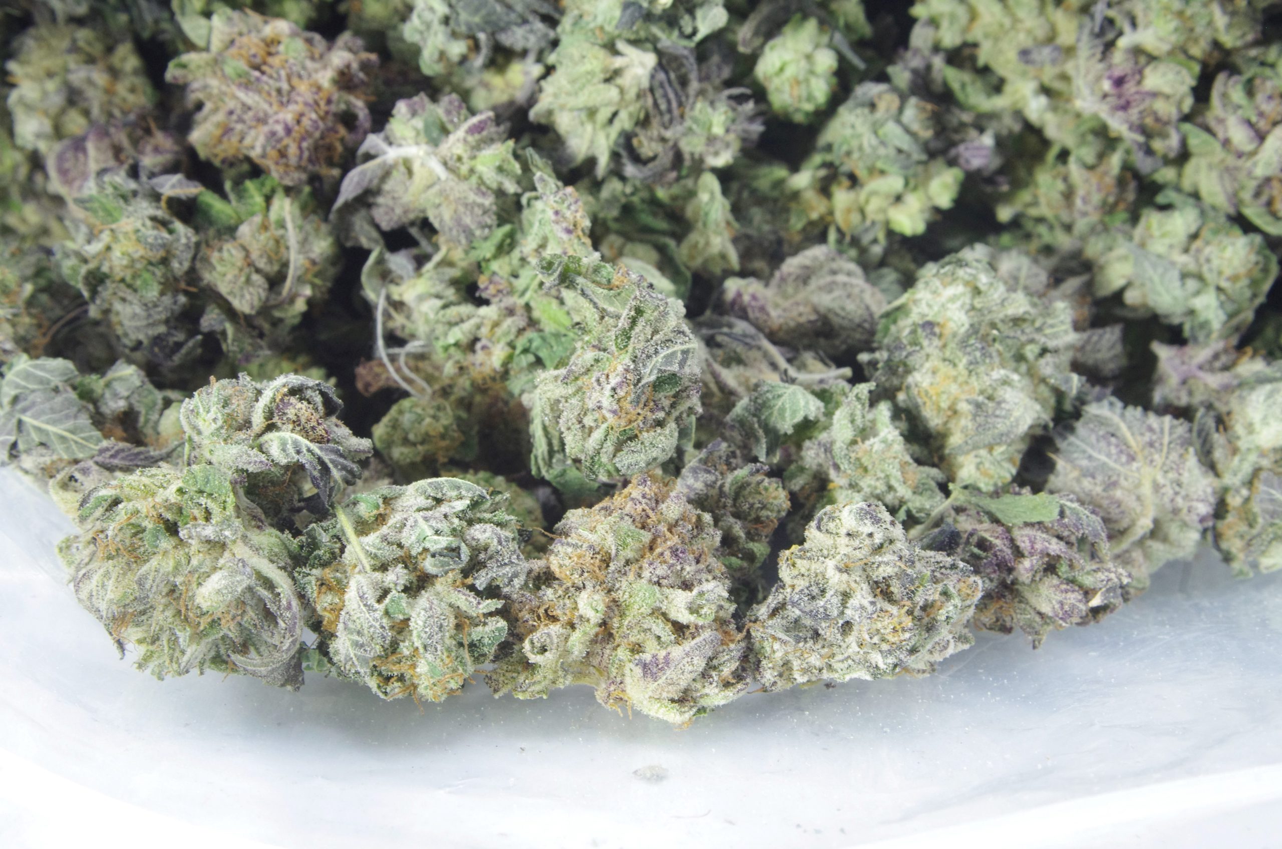 BB Bag scaled 1 Blackberry Smalls (Oz special)
