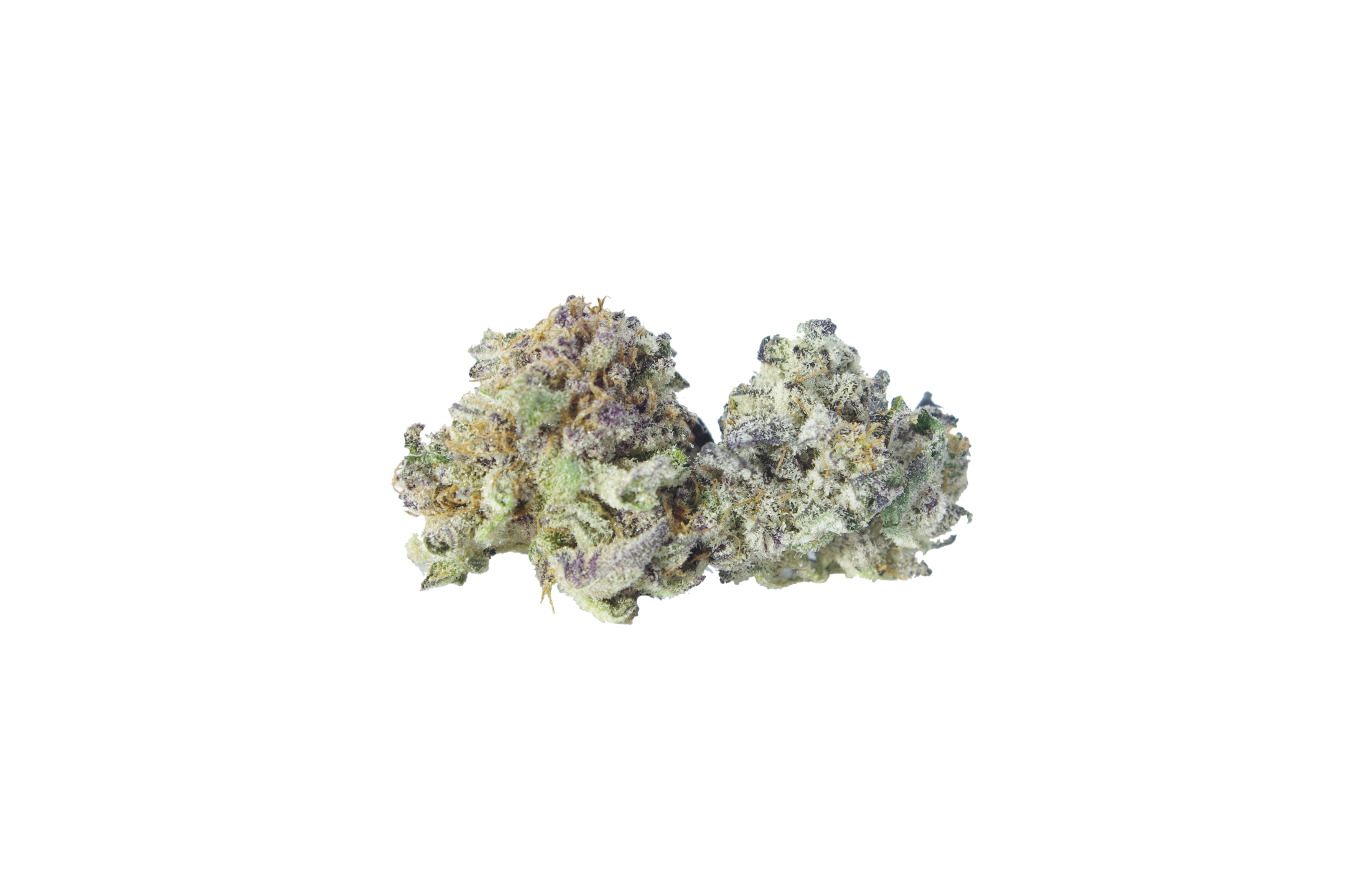 BB sm buds Blackberry Smalls (Oz special)