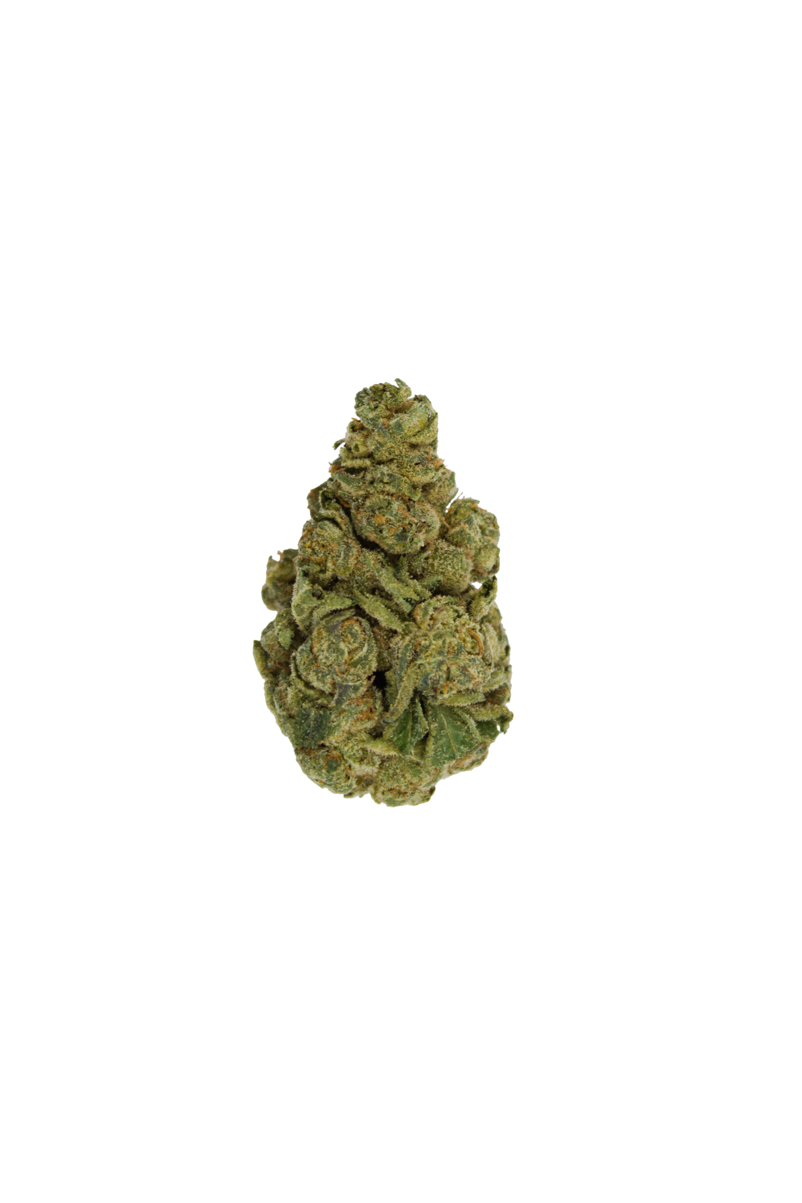 Black Raspberry Black Raspberry (Oz special)