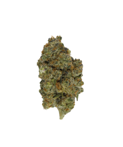Buy Blue Guava online