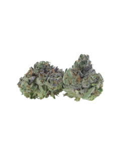 Buy Gas Mask Smalls Online