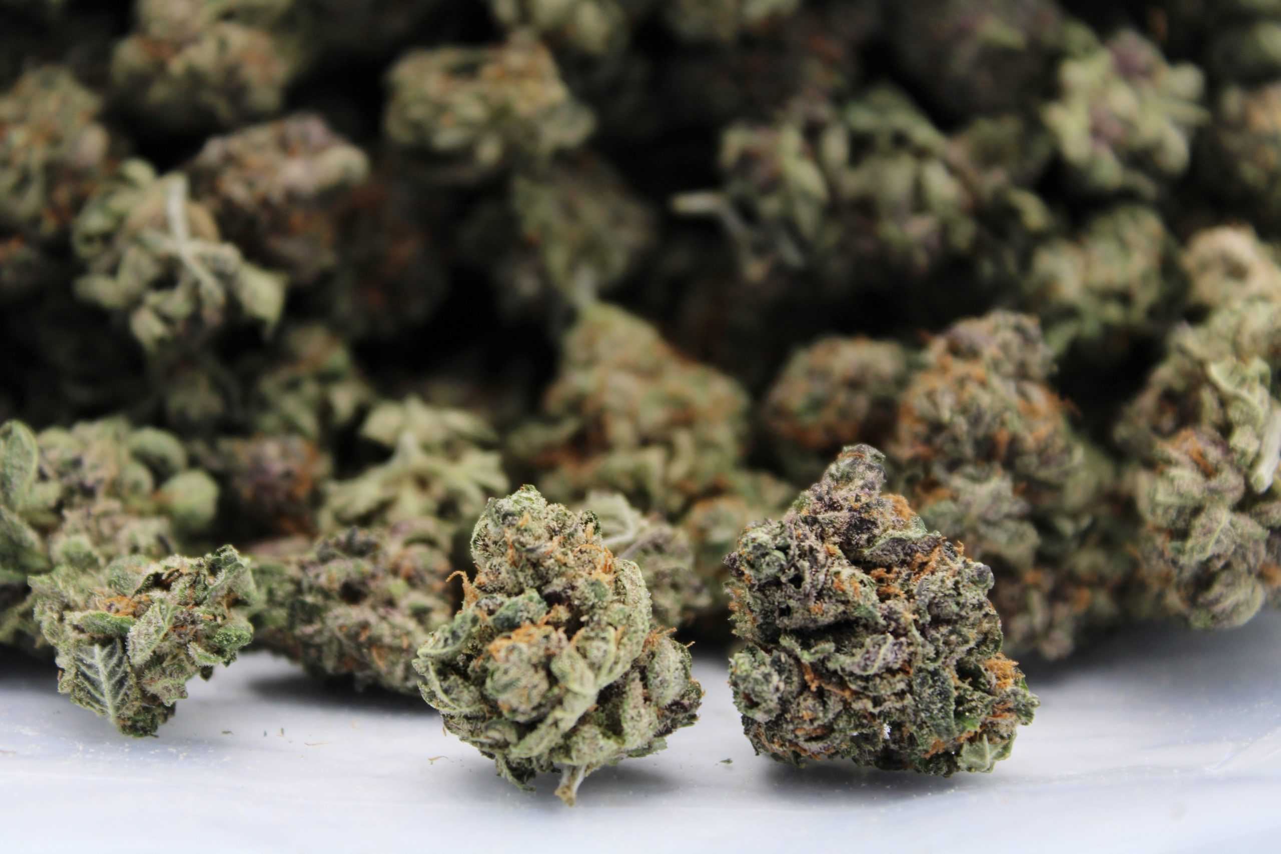 Gelato Smalls bag scaled 1 Gelato Smalls (Oz special)