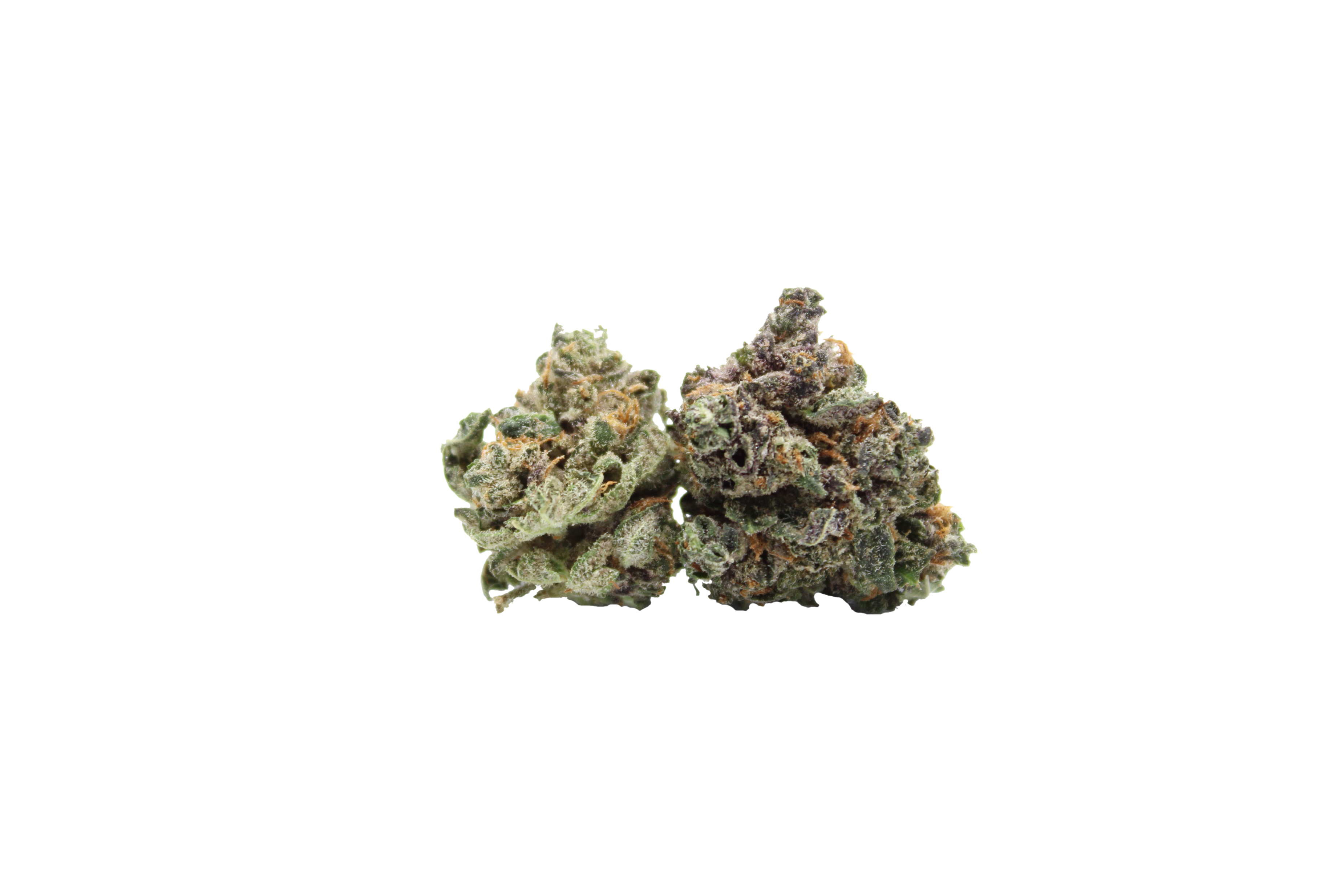 Gelato Smalls bud Gelato Smalls (Oz special)