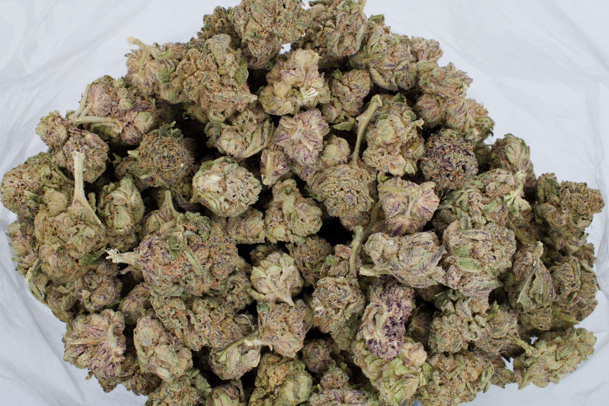 Khalifa Kush Bag scaled 1 Khalifa Kush (Oz special)
