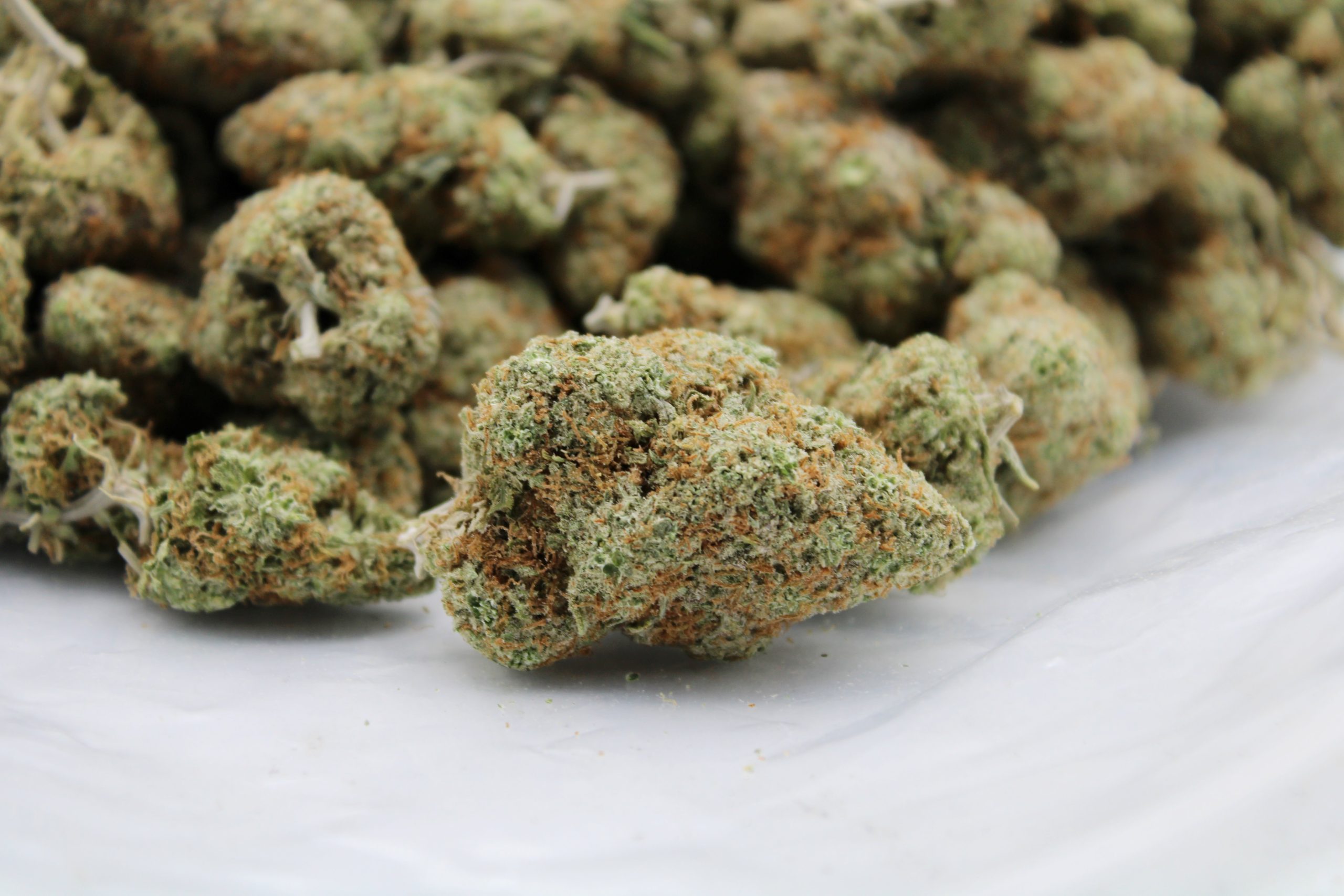 Lemon Kush bag scaled 1 Lemon Kush (Oz Special)
