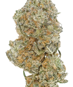 OG Truffle 2 copy Buy OG Truffle Online