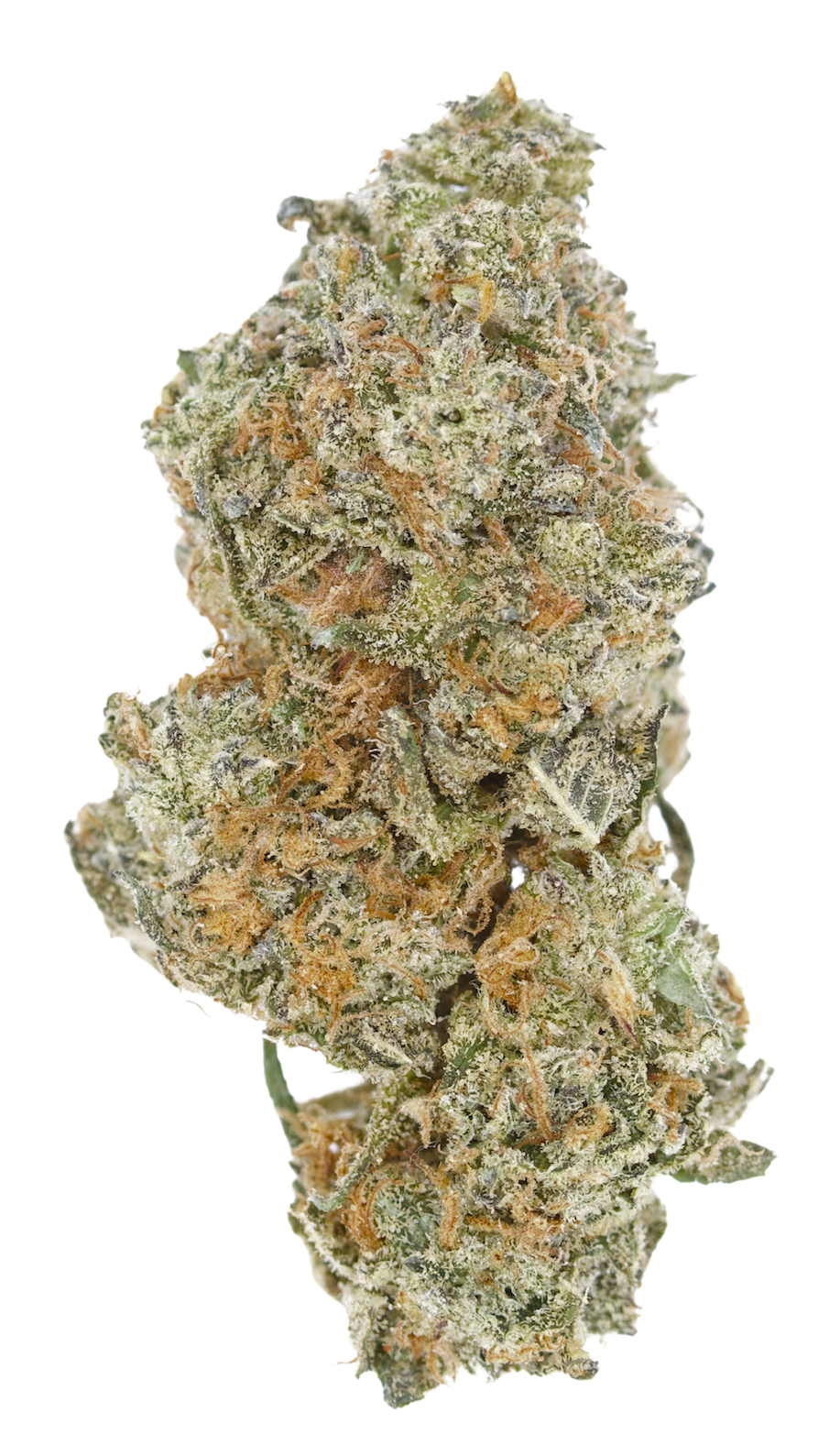 OG Truffle 2 copy OG Truffle