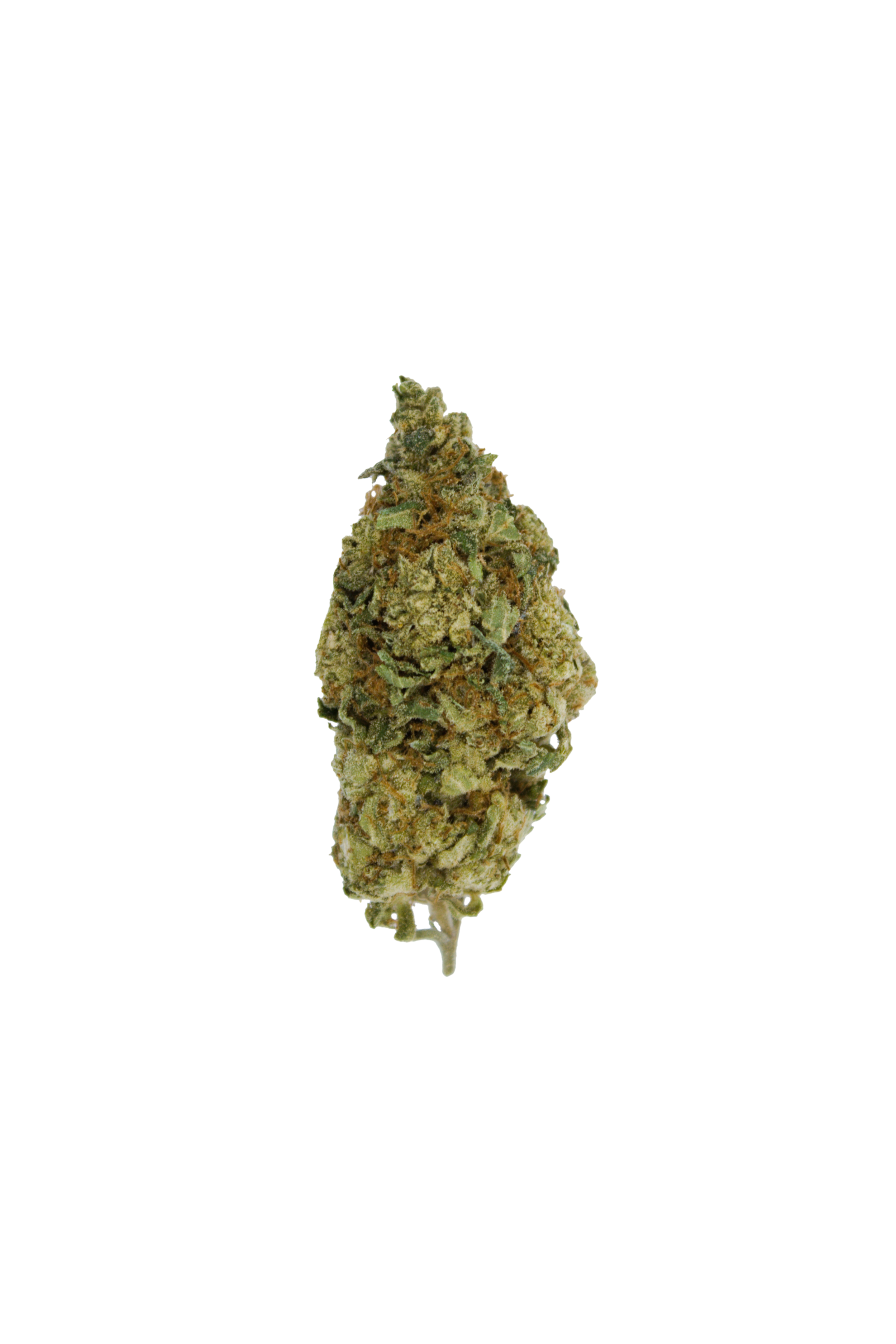 Pink Death Bud Pink Death (Oz Special)