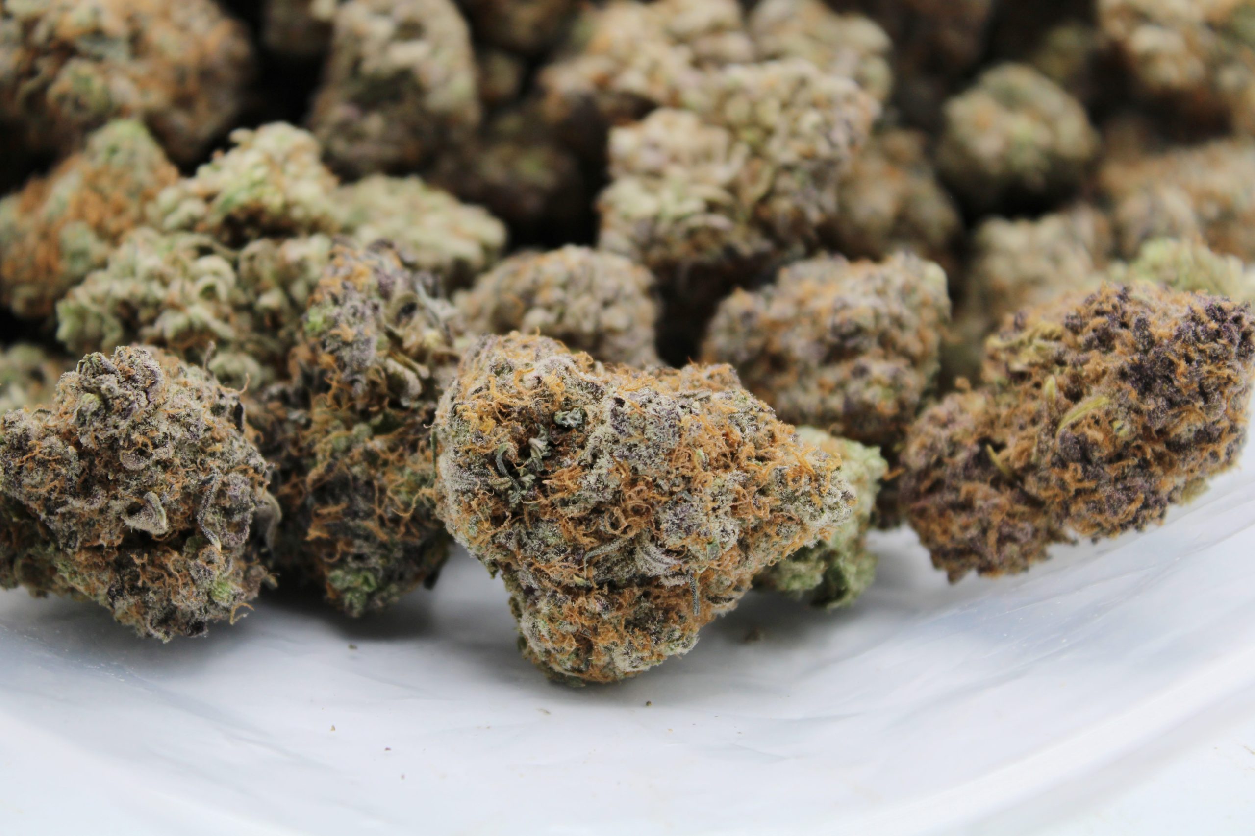 Platinum Cookies bag scaled 1 Platinum Cookies (Oz special)