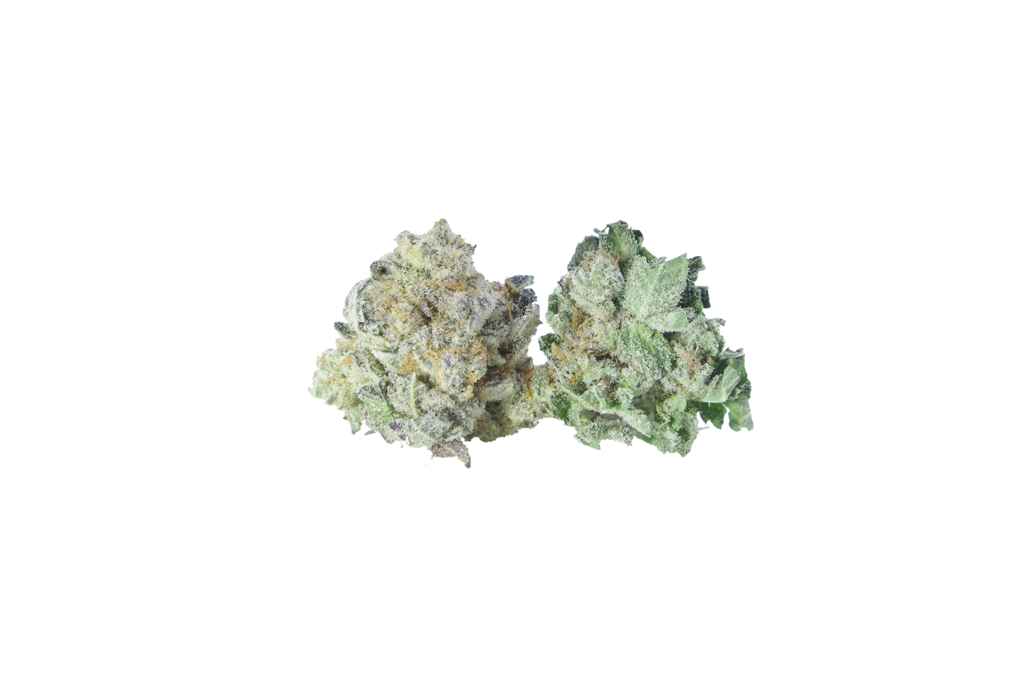 Pure Michigan Smalls bud Pure Michigan Smalls (Oz special)