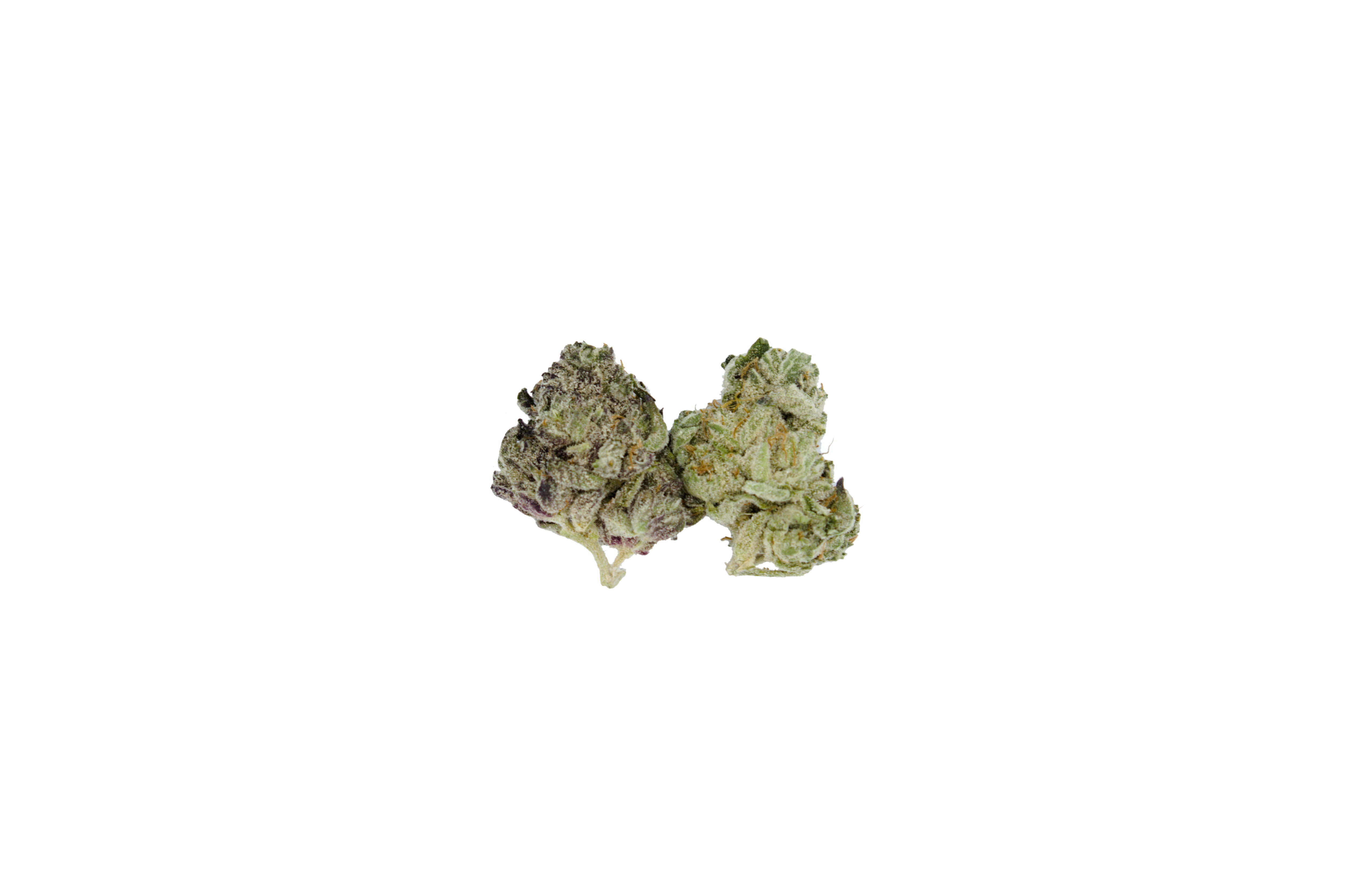 Animal Mints Sm Buds Animal Mints Smalls (Oz Special)