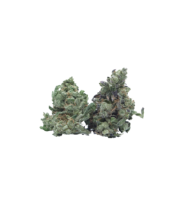 Buy Blue Hawaiian Smalls online