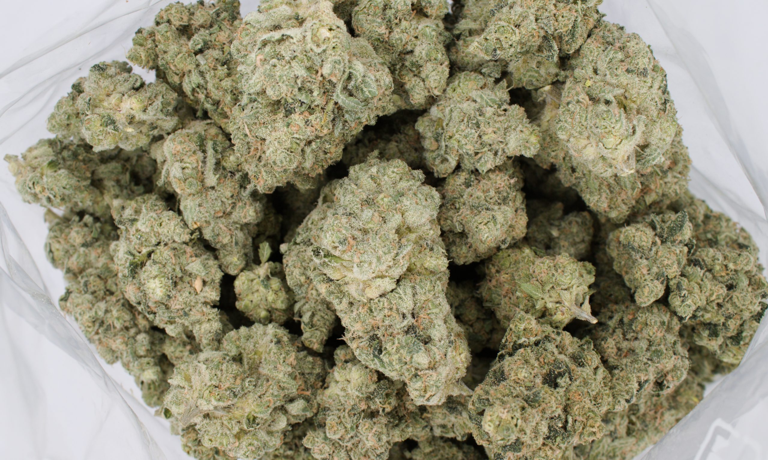 F Bag scaled 1 Lime Sorbet (Oz special)
