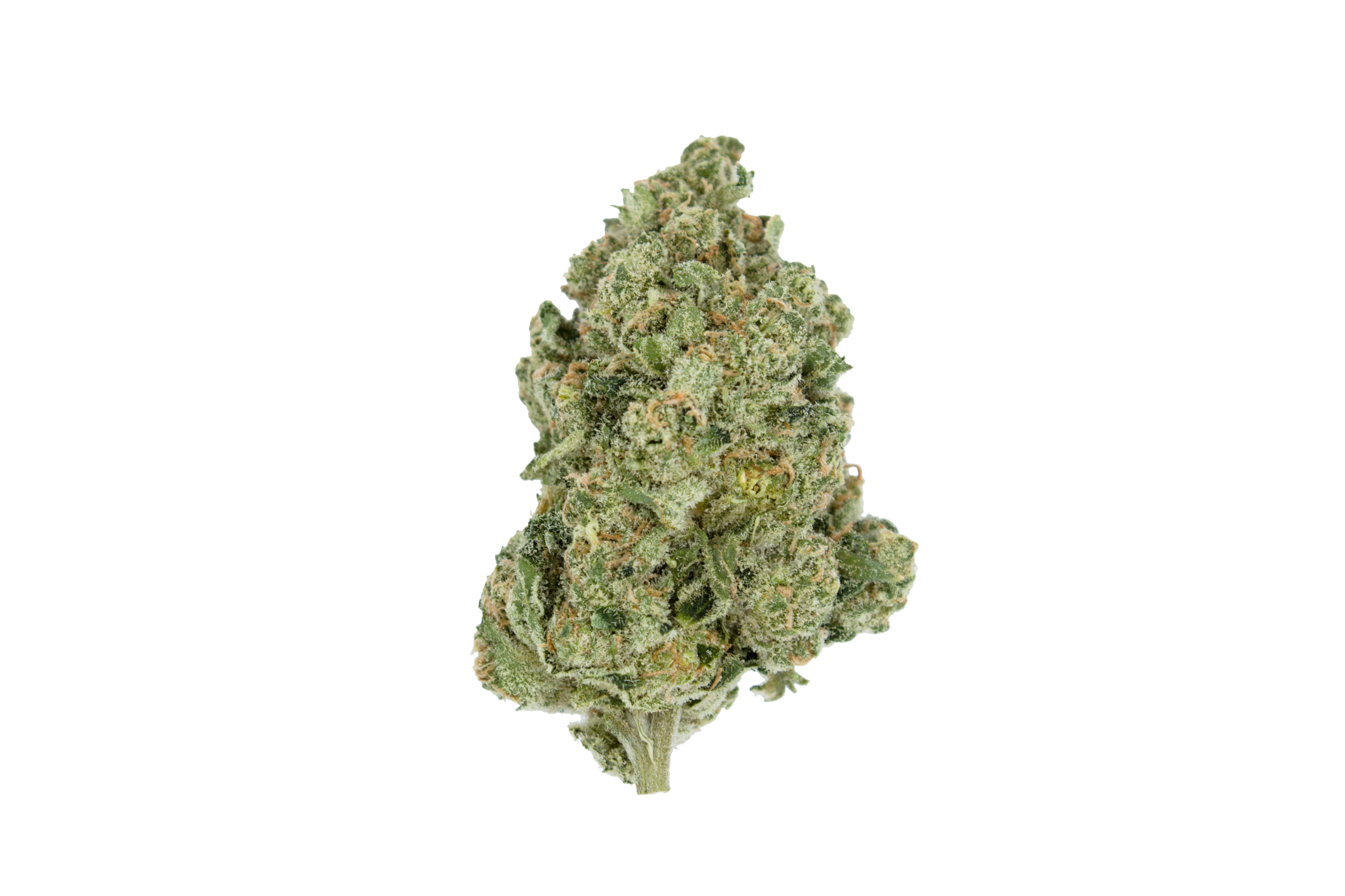F Bud Lime Sorbet (Oz special)