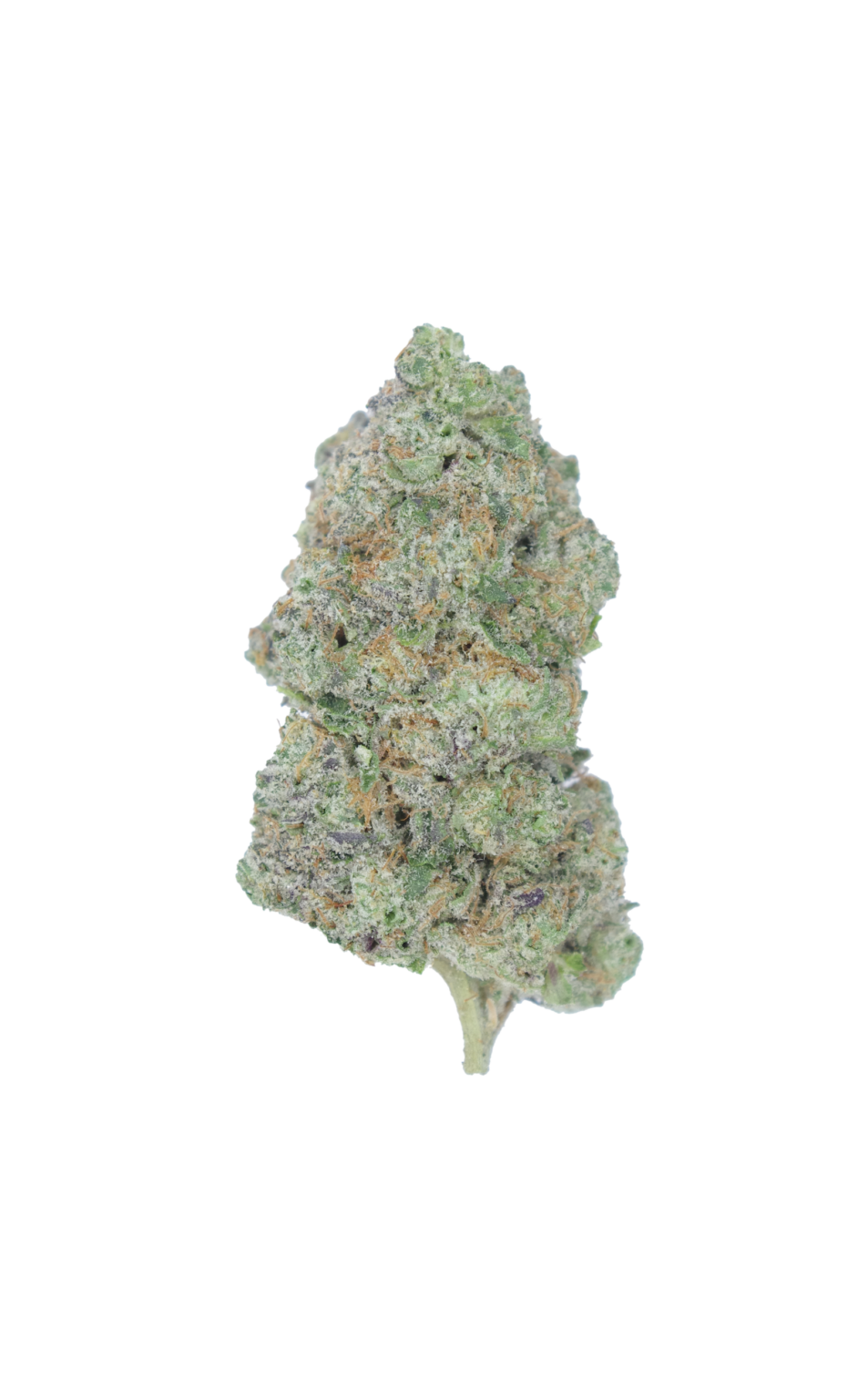 Frosted Fruitcake LSO SATIVA 953x1536 1