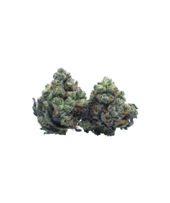 Buy Stardust OG Smalls Online