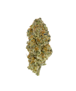 Buy Stardust OG Online