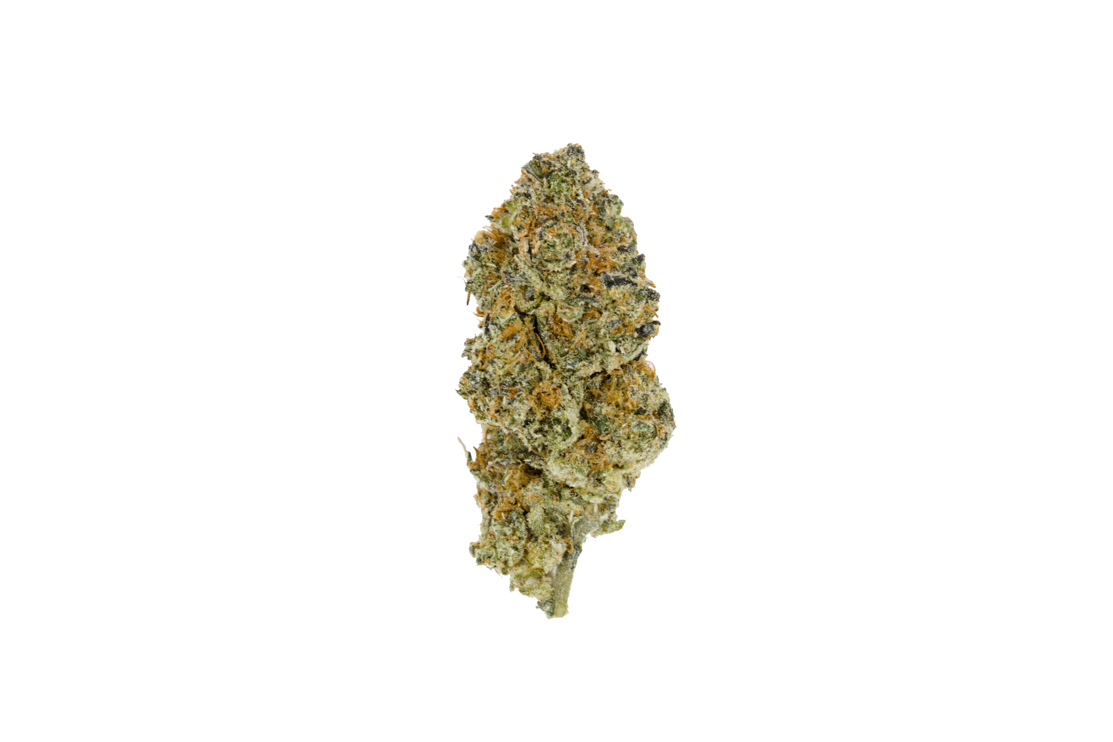 T Bud Stardust OG (Oz special)