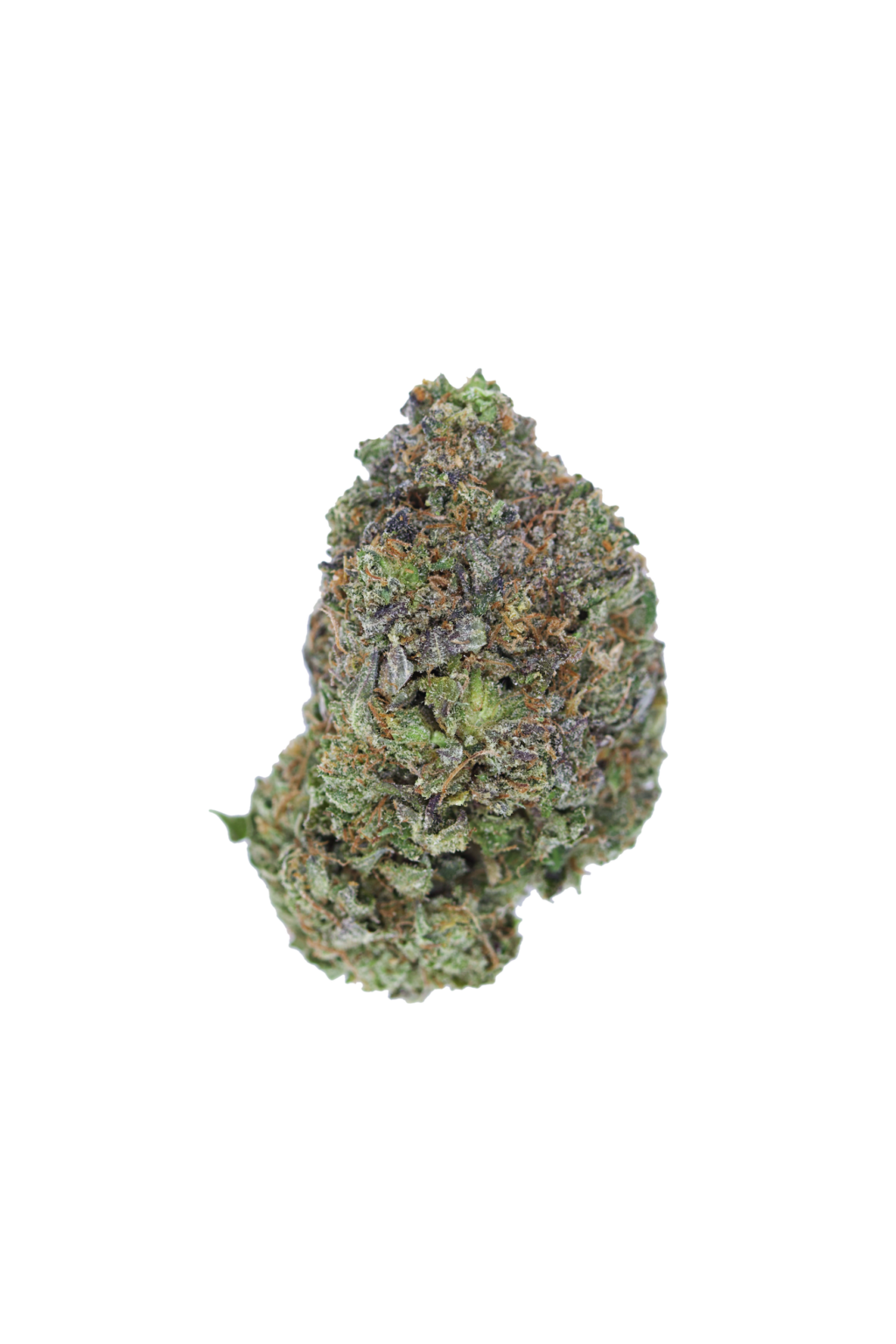 pinktunaCBH INdica 1024x1536 1