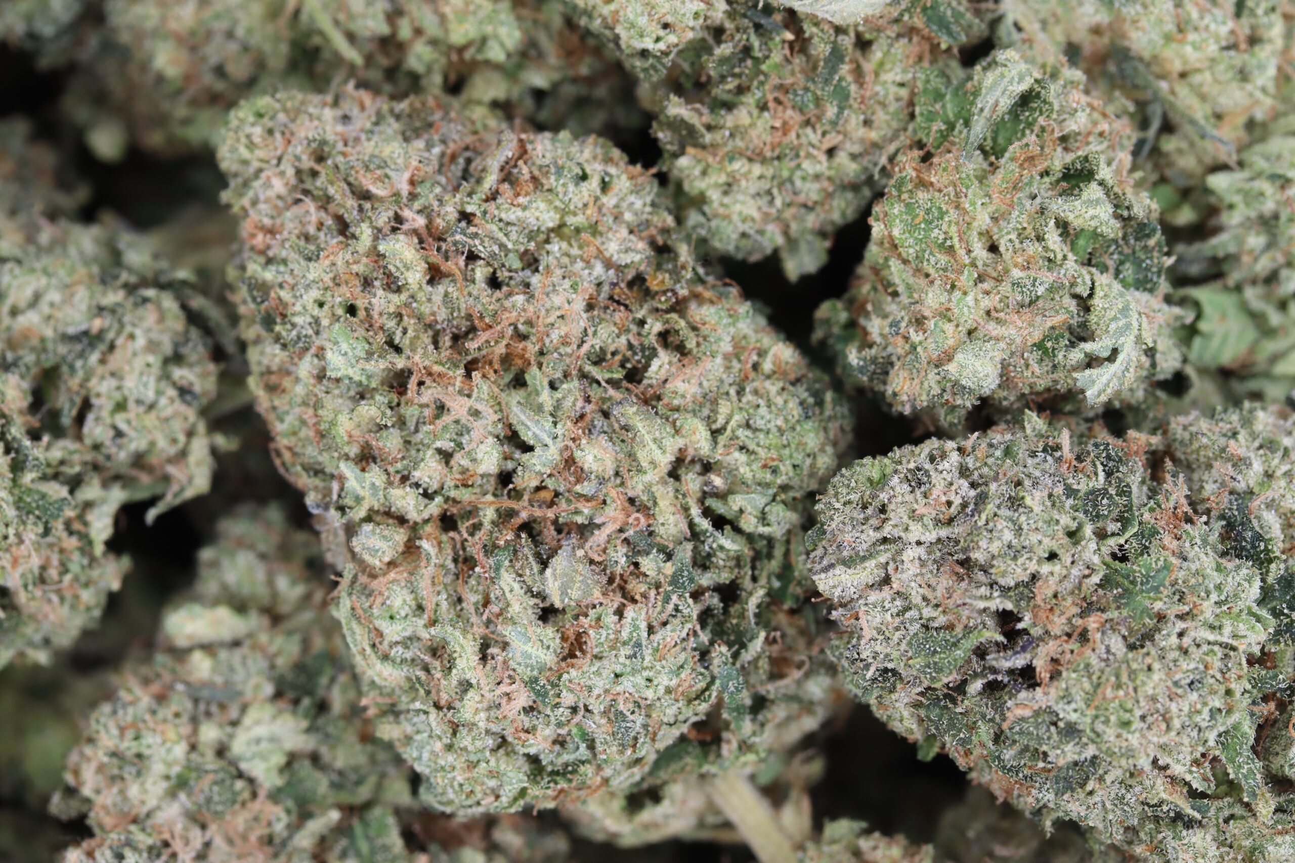 Afghan Kush Bag scaled Afghan Kush