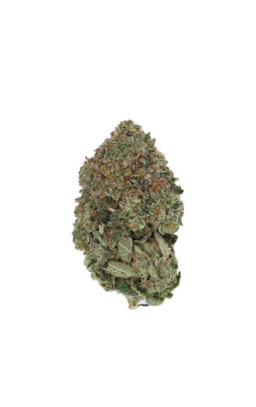 Afghan Kush Bud 510x809 1 Afghan Kush