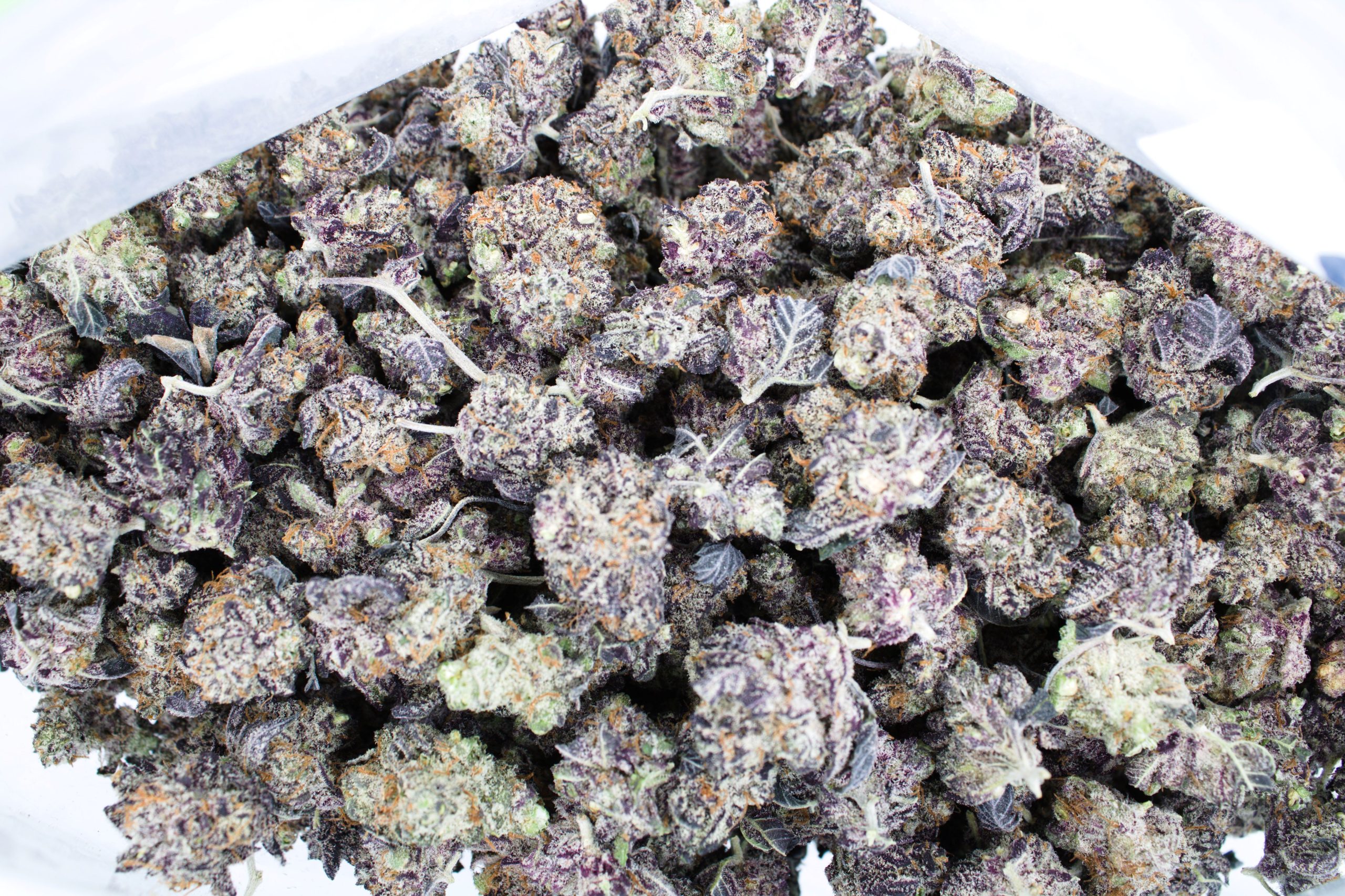 Grape Diesel Bag scaled 1 Grape Diesel Smalls