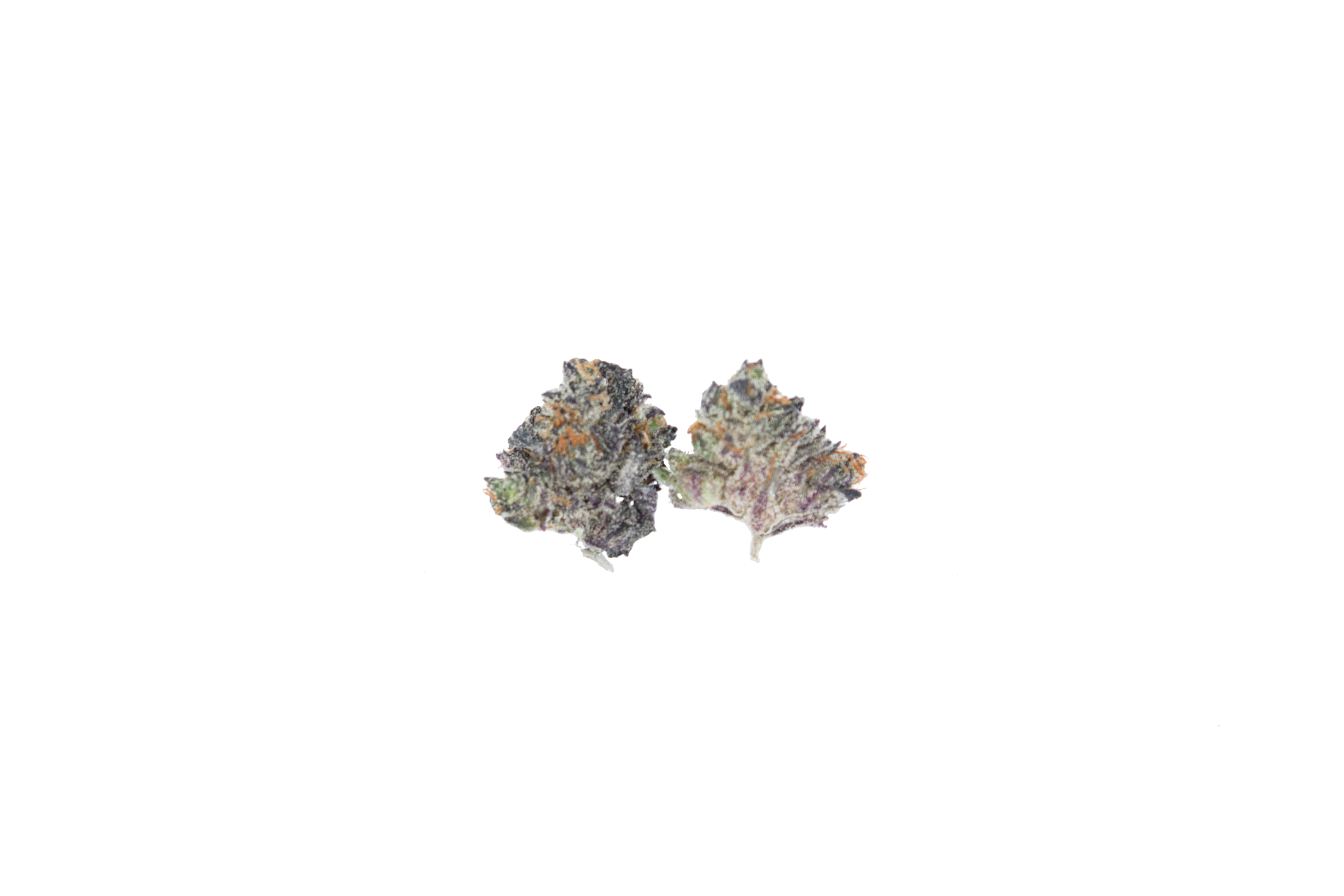 Grape Diesel Smalls cutout Grape Diesel Smalls