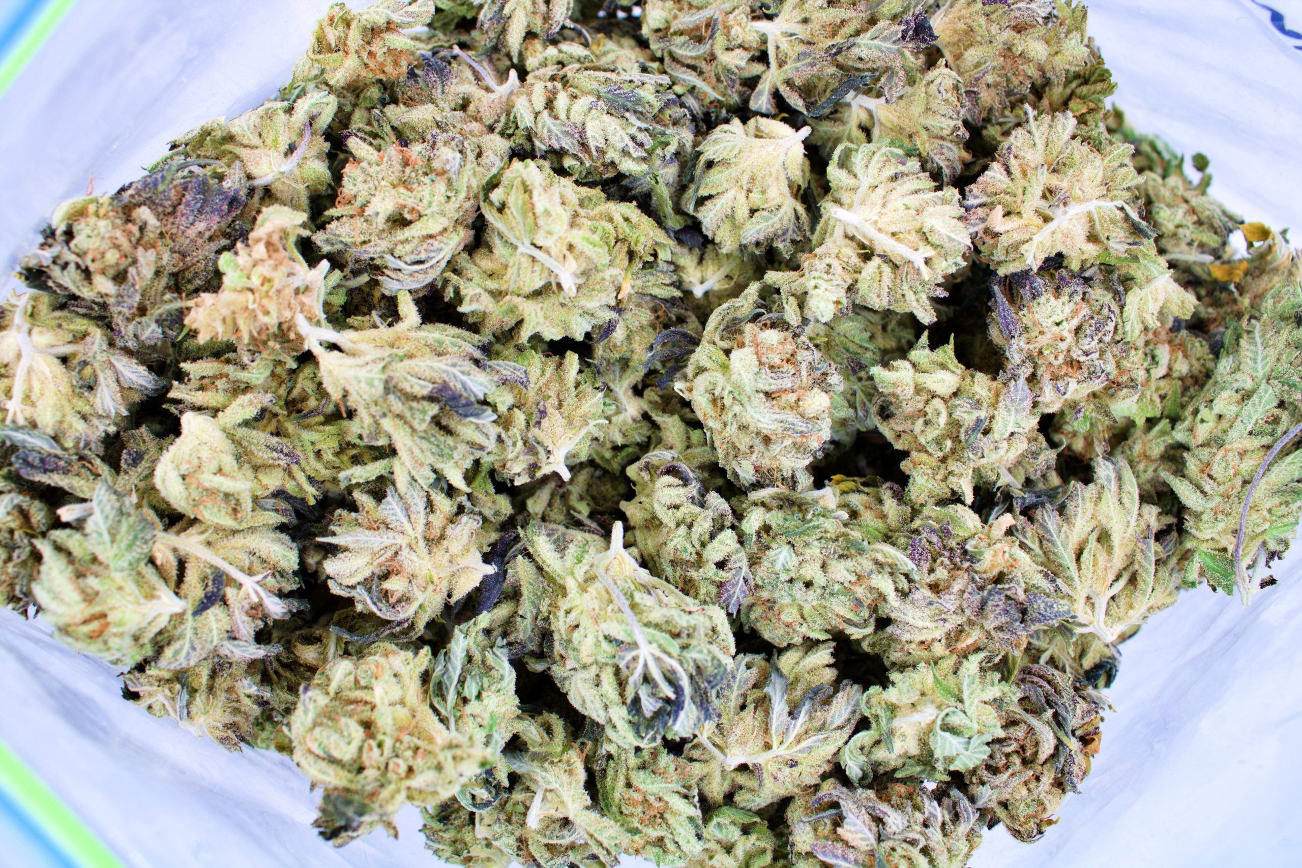 Lemon Haze Bag scaled 1 Lemon Haze Smalls