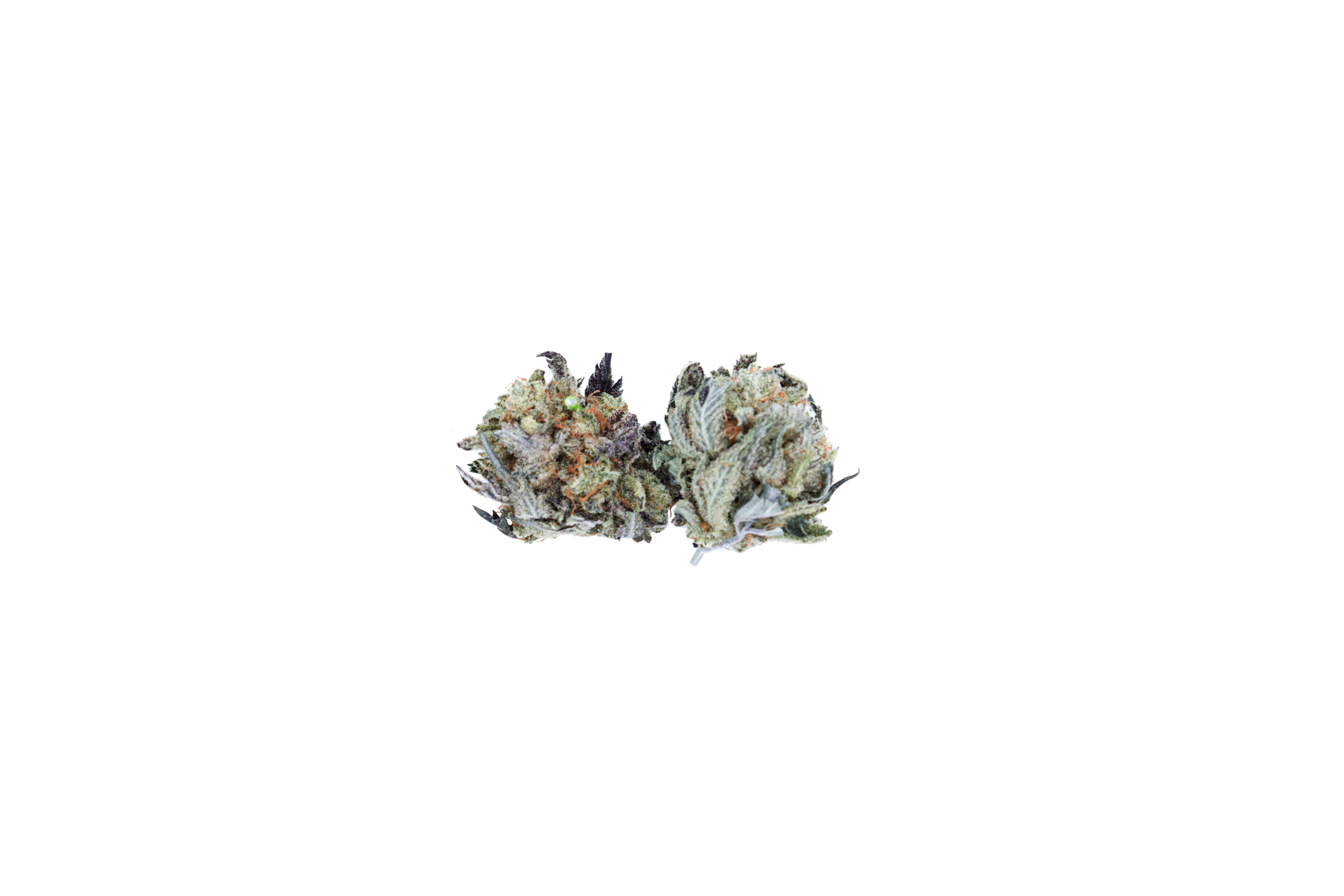 Lemon Haze Smalls cutout Lemon Haze Smalls