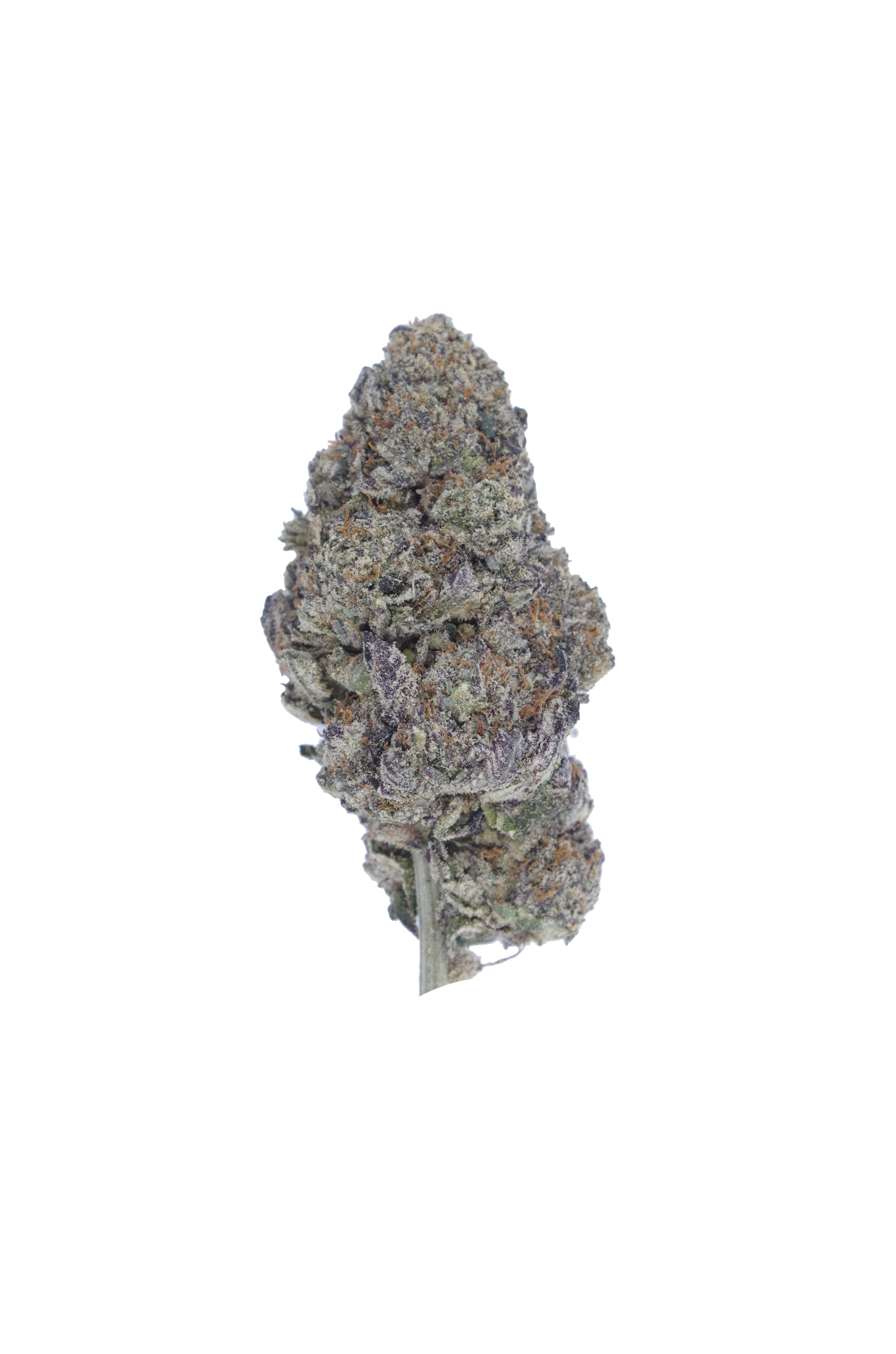 Pink Jam bud Strawberry Jam