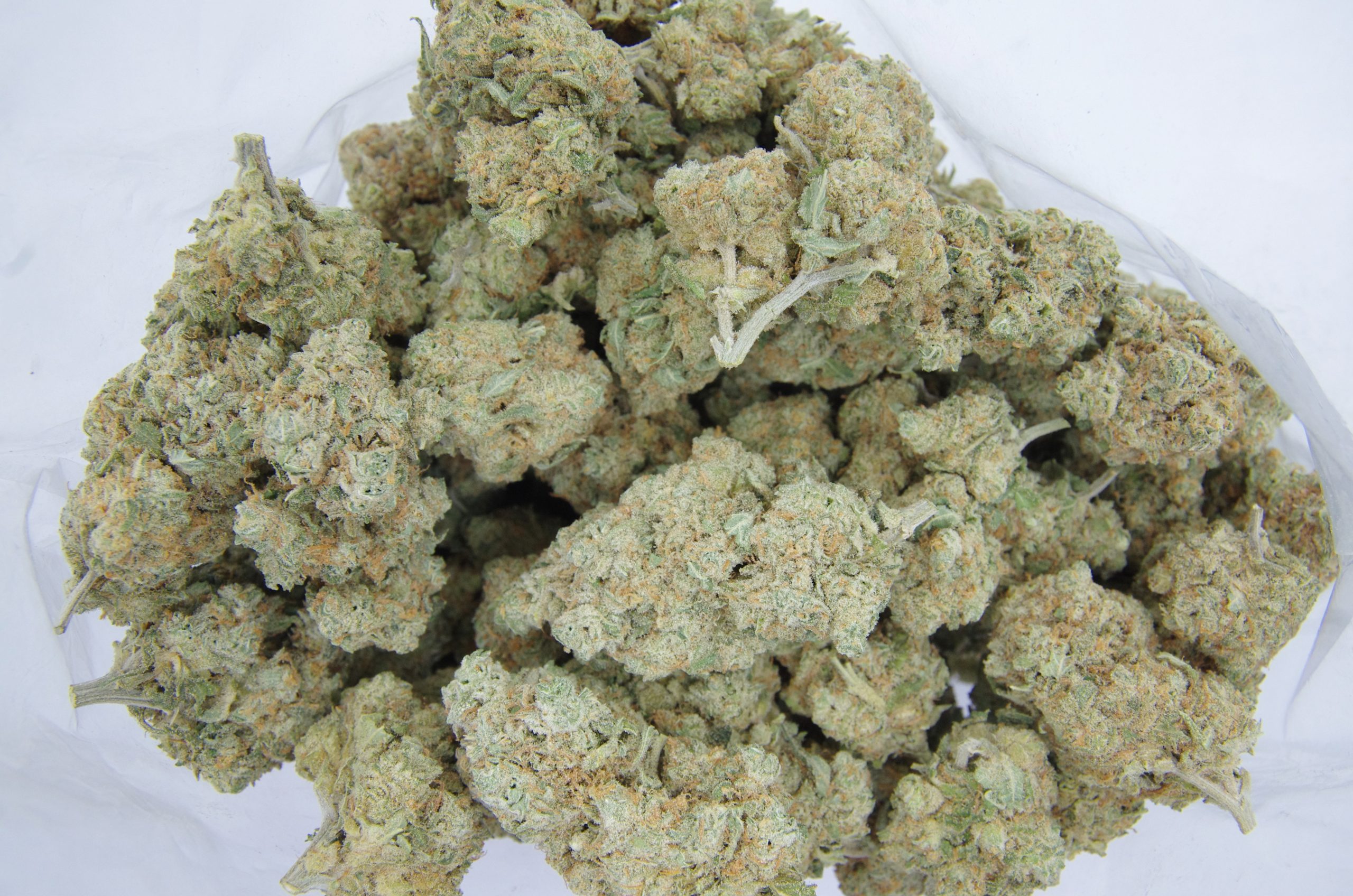 Thin Mint Bag scaled 1 Thin Mints GSC