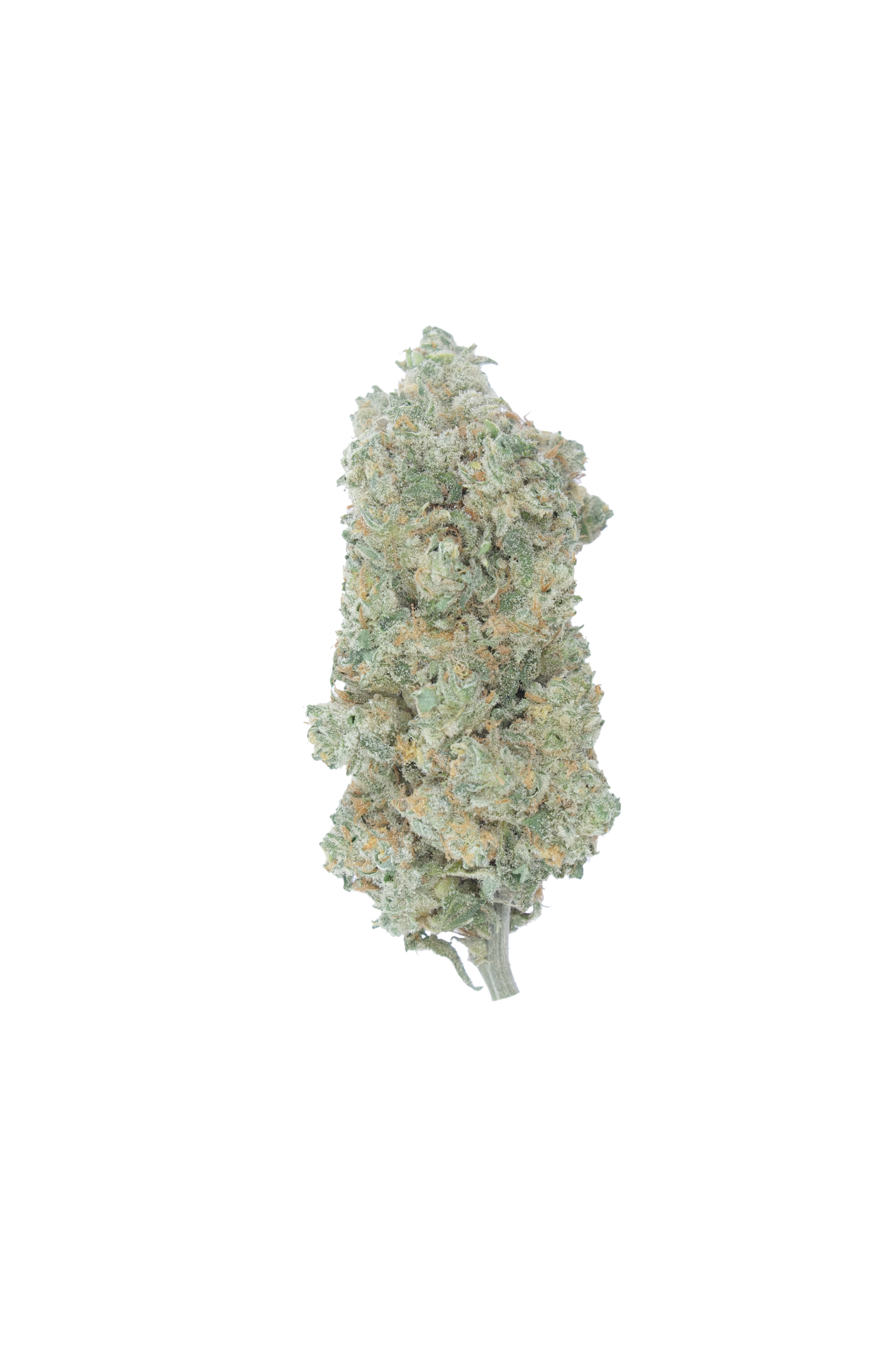 Thin Mint Bud Thin Mints GSC