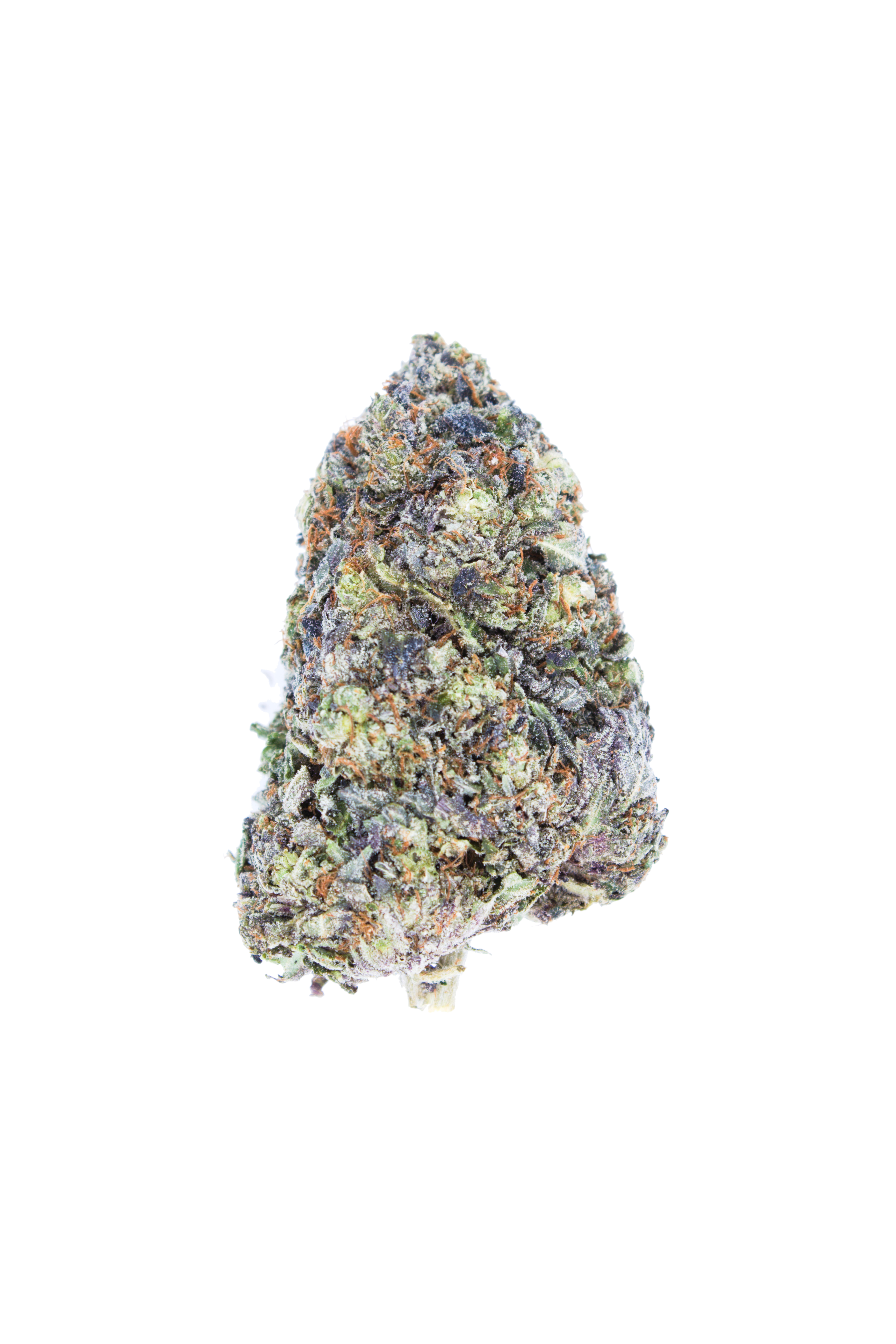 Death Ultra bud cutout Death Ultra