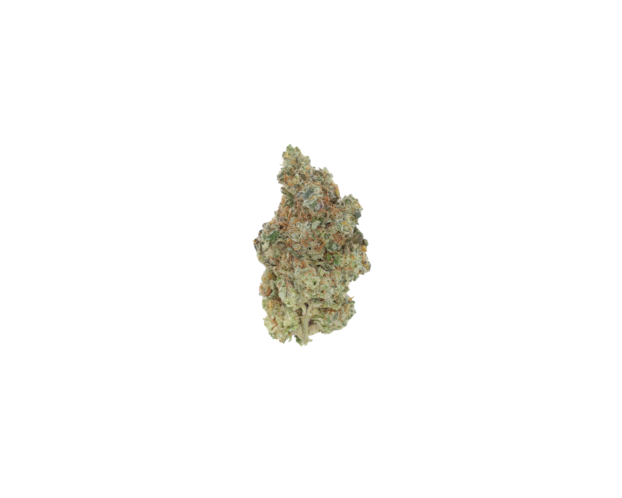 FFC Nug Frosted Fruitcake