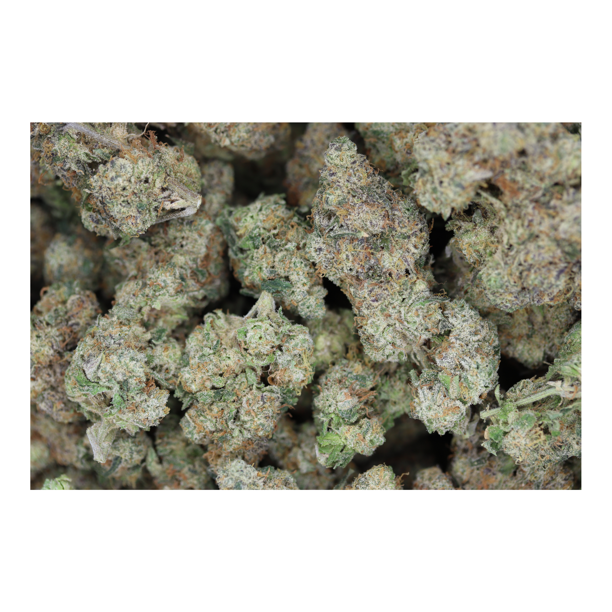 FFC bag Frosted Fruitcake