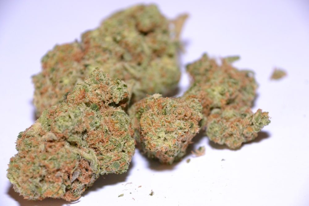 Medical Benefits of Cannabis Sativa Strains Medical Benefits of Cannabis Sativa Strains