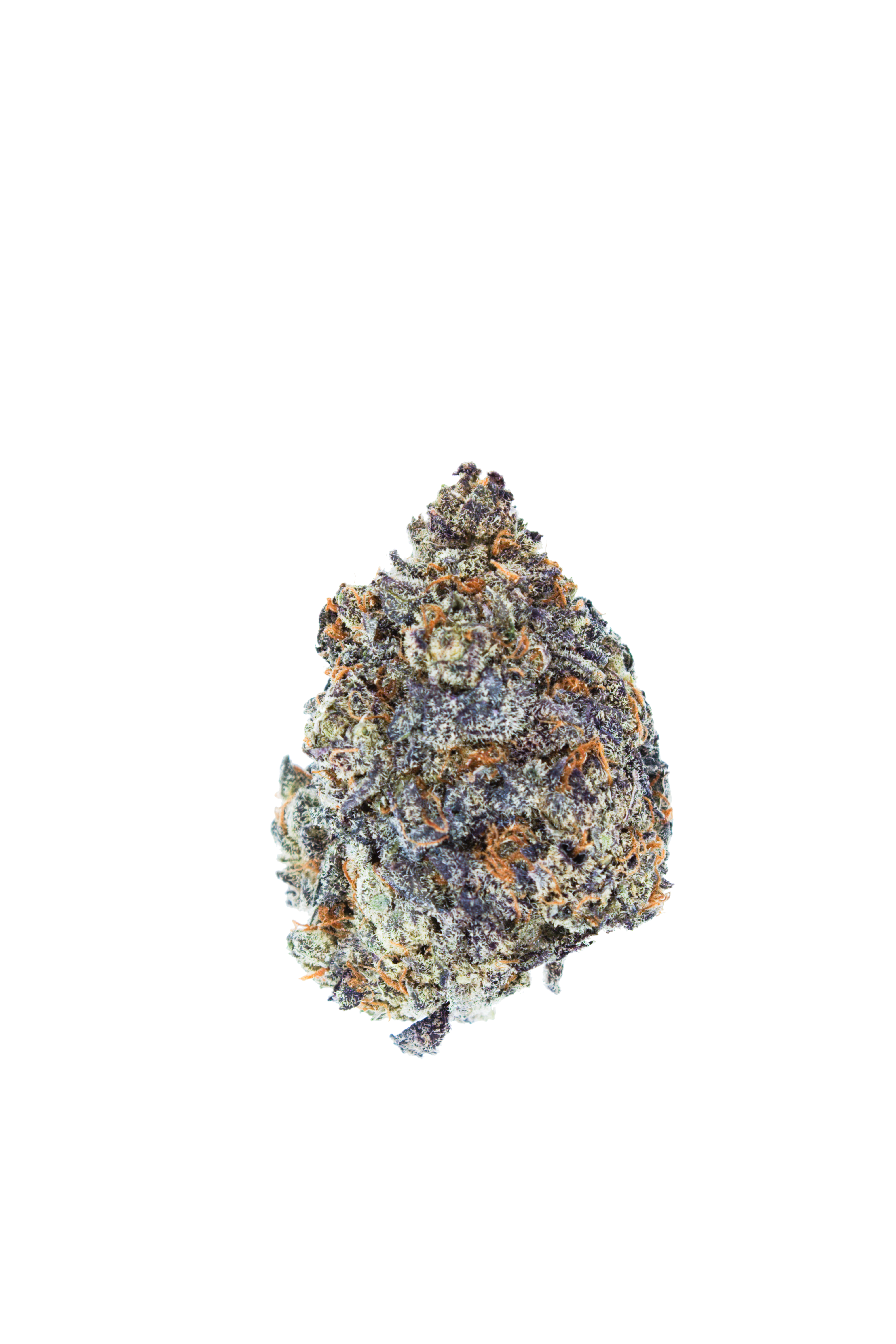 Purple Pie Bud cutout Purple Pie