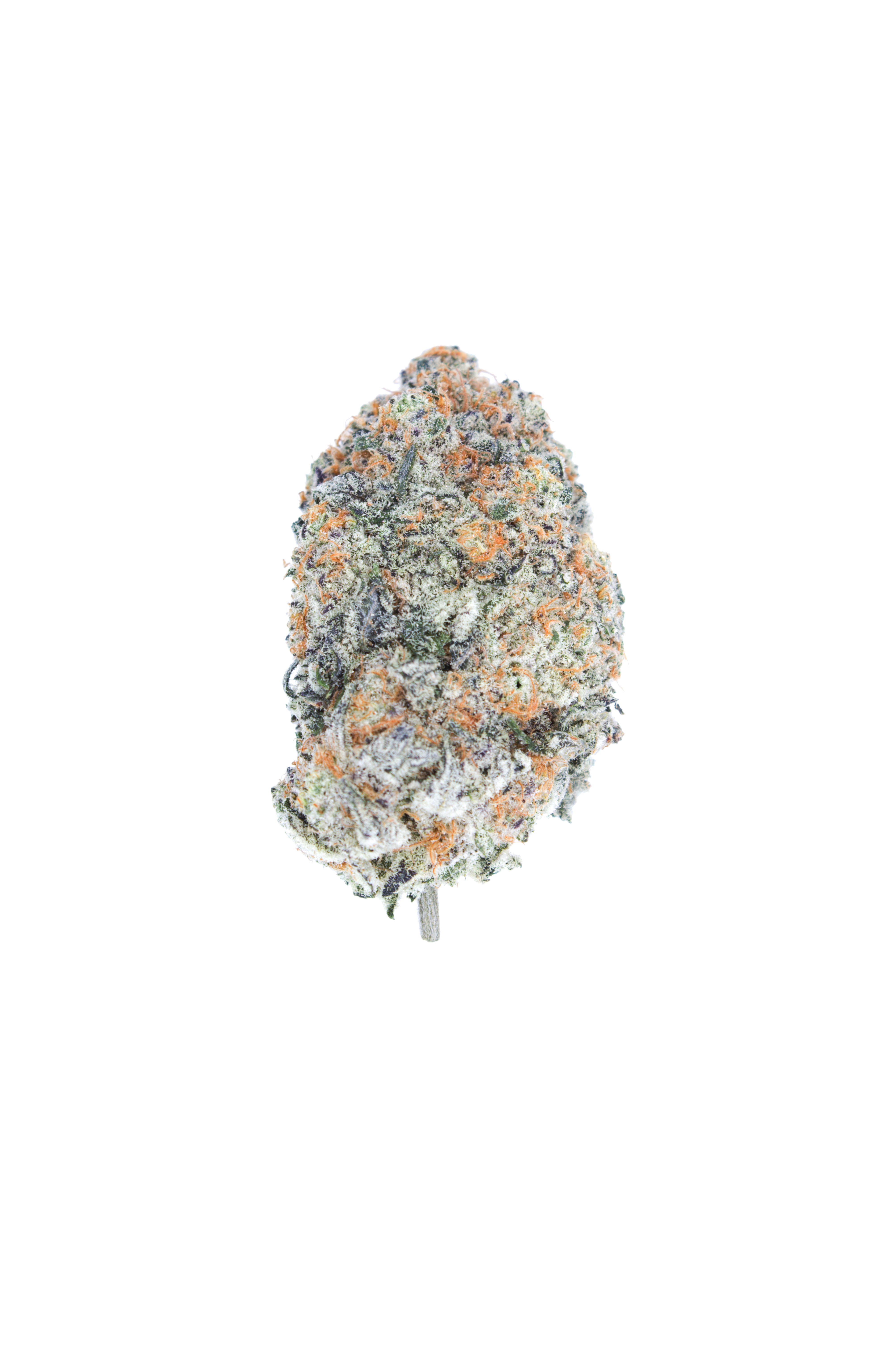 Raspberry Kush bud cutout Raspberry Kush