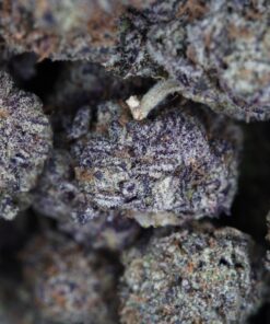 Buy Blackberry Online