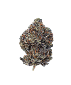 Buy Blackberry Online