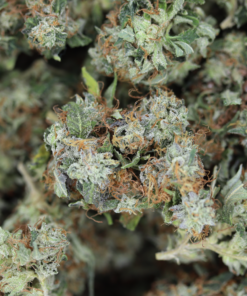 Bubba Kush Bag Bubba Kush Bag